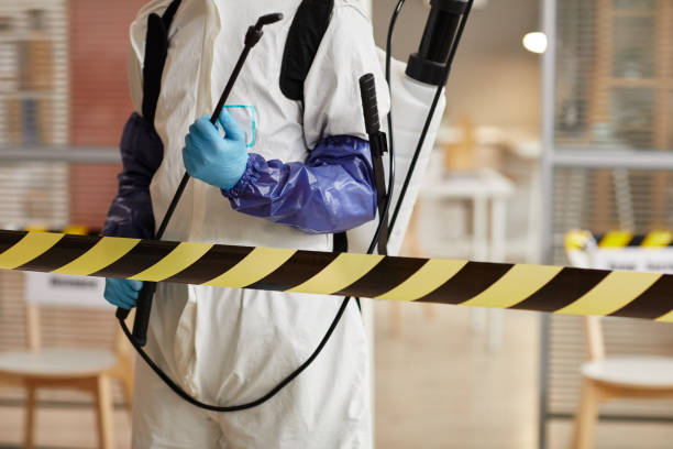 Professional Hoarding Cleanup technician working in Marstons Mills, MA